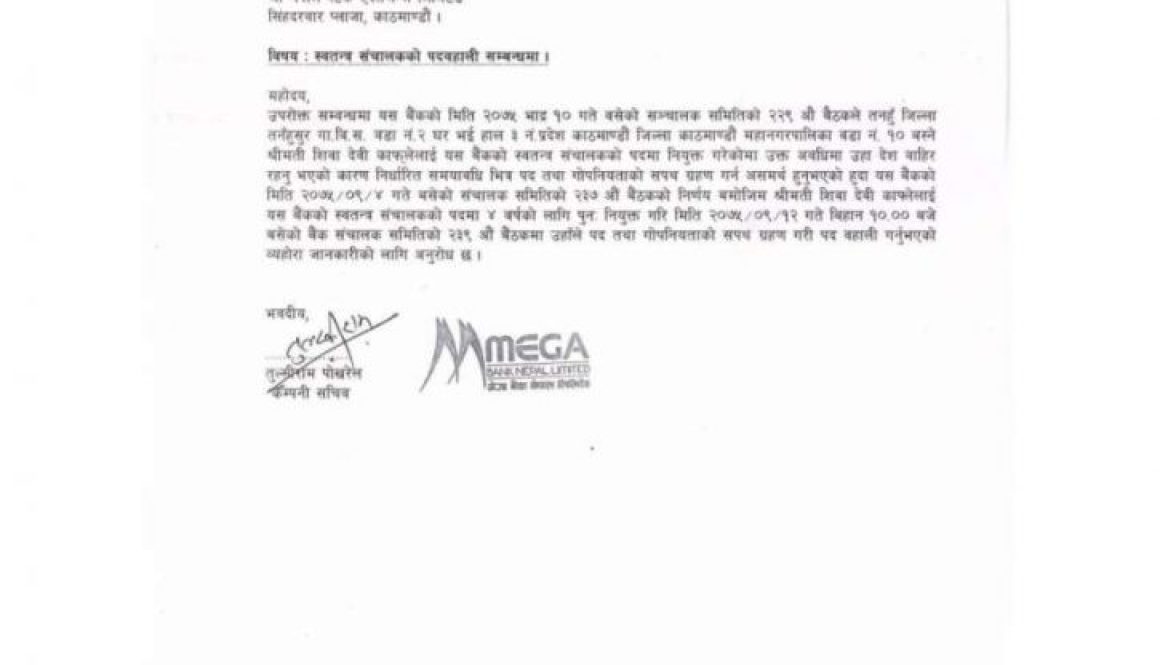 20181228021657_Mega-BAnk-1